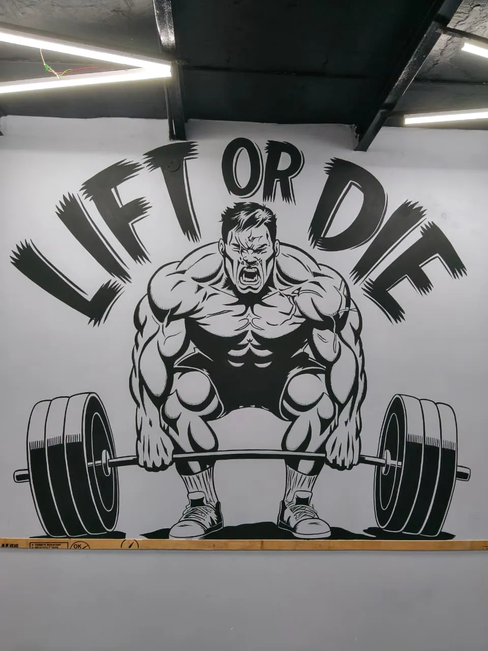 Gym Wall Painting Delhi